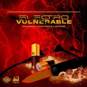 Electrovulnerable(feat. Malik Tawfiq & Arleking) (Explicit)