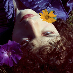 Queimou-Se Como um Cometa