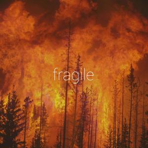 Fragile (Explicit)