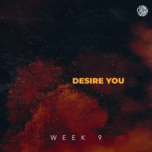 Desire You (Explicit)