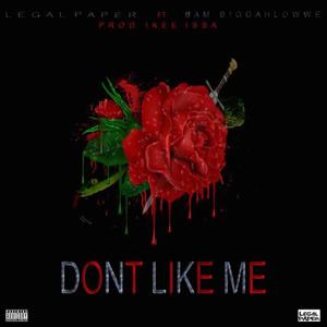 Don't Like Me (feat. Life Unda, Bam Biggahlowe & Fenaam Hussien) (Explicit)