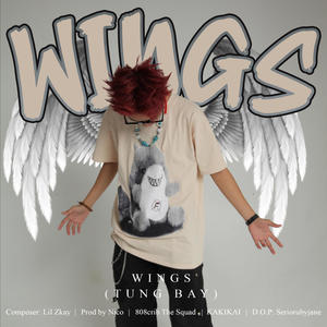 Wings (Tung Bay) (feat. nicotrbl)