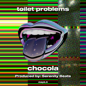 toilet problems