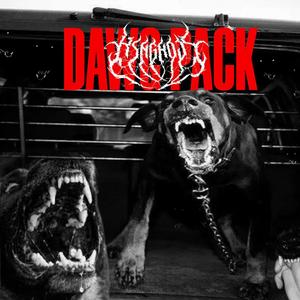 DAWG PACK (Explicit)