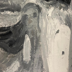 Noise & Acid: Portrait Lounge Bootleg 1.13.2025 Phoenix, AZ