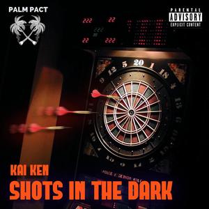Kai Ken - Shots In The Dark(feat. Vinylogic) (Explicit)