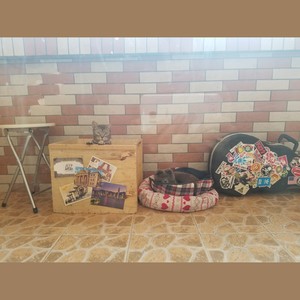 CRAT西略 - 三月三