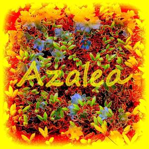 Azalea