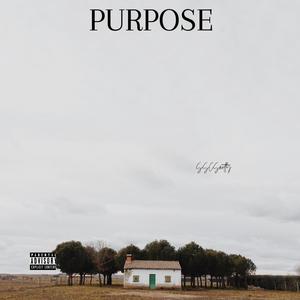 PURPOSE (Explicit)