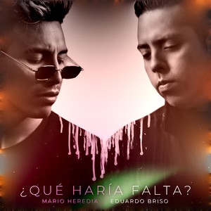 ¿Qué Haría Falta?