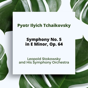 Tchaikovsky: Symphony No. 5 in E Minor, Op. 64