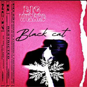 Black cat (Explicit)