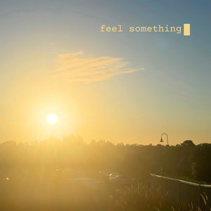 Feel Something (Explicit)