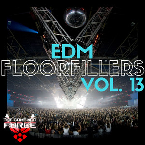 EDM FloorFillers Vol.13