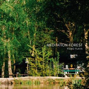 Meditation Forest