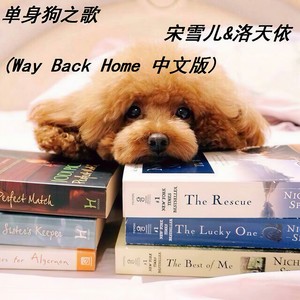 单身狗之歌（Way Back Home中文版）