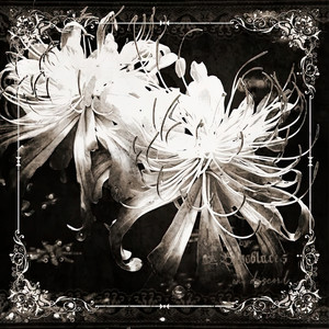 Big City Blues (Remix Version)