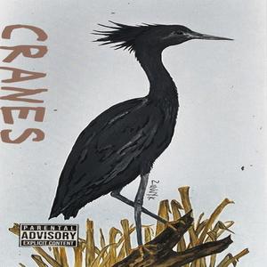 CRANES (Explicit)