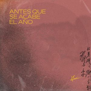 Antes que se acabe el año