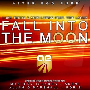 Fall Into The Moon (Allan O'Marshall Remix)