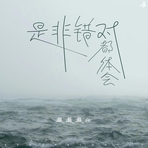 是非对错都体会 (DJ默涵版)封面
