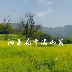 油菜花开满山岗 (DJ版)