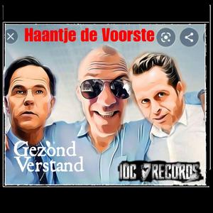 Gezond Verstand