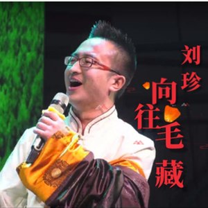 向往毛藏