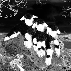 102k PASOS (Explicit)