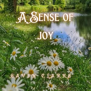 A Sense Of Joy