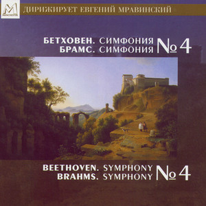 Symphony No. 4 In E Minor, Op. 98 Allegro Non Troppo