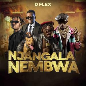 Njangala Nembwa (feat. Chef 187 x Chanda na kay)