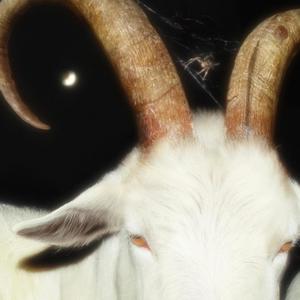 HoodTrap, Pt. 2 (feat. Idris Makazu) (Explicit)