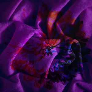 What I'm Pursuing? (Explicit)