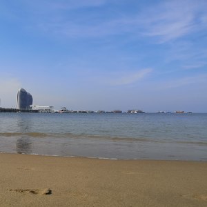 望着大海又想起你