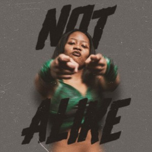 Not Alike (Kim Kirsten)