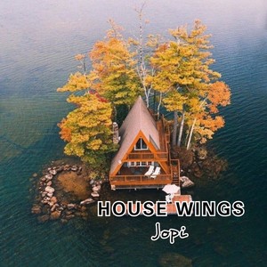 HOUSE WINGS