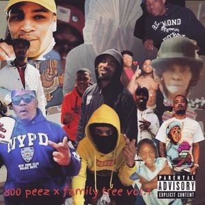 Family Get Together (Explicit)