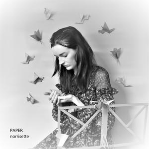 Inside The Second Dimension