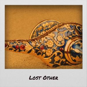 Lost Other