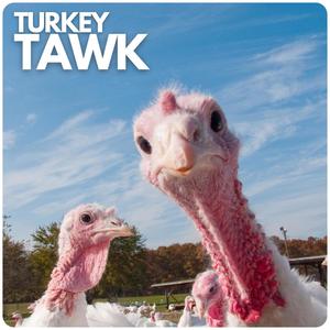 Turkey Tawk