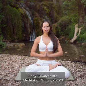 Body Balance with Meditation Tunes, Vol. 05