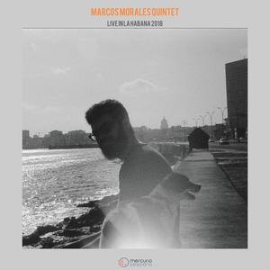 Marcos Morales Mercurio - Ruinas