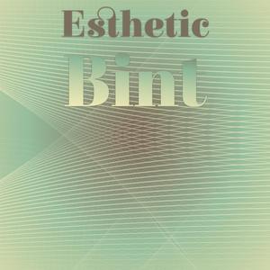 Esthetic Bint