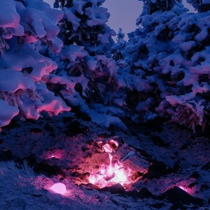 冻结在生命中 (Frozen in life)