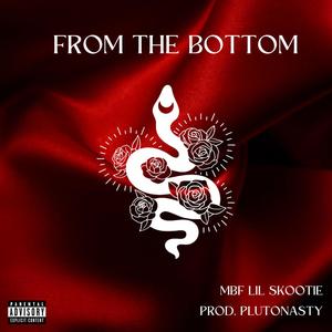 From The Bottom (Explicit)