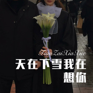 天在下雪我在想你
