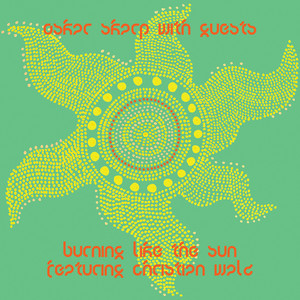 Burning Like the Sun (Carli Remix)