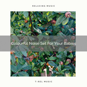 Colourful Noise Set For Your Babies