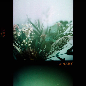 Binary